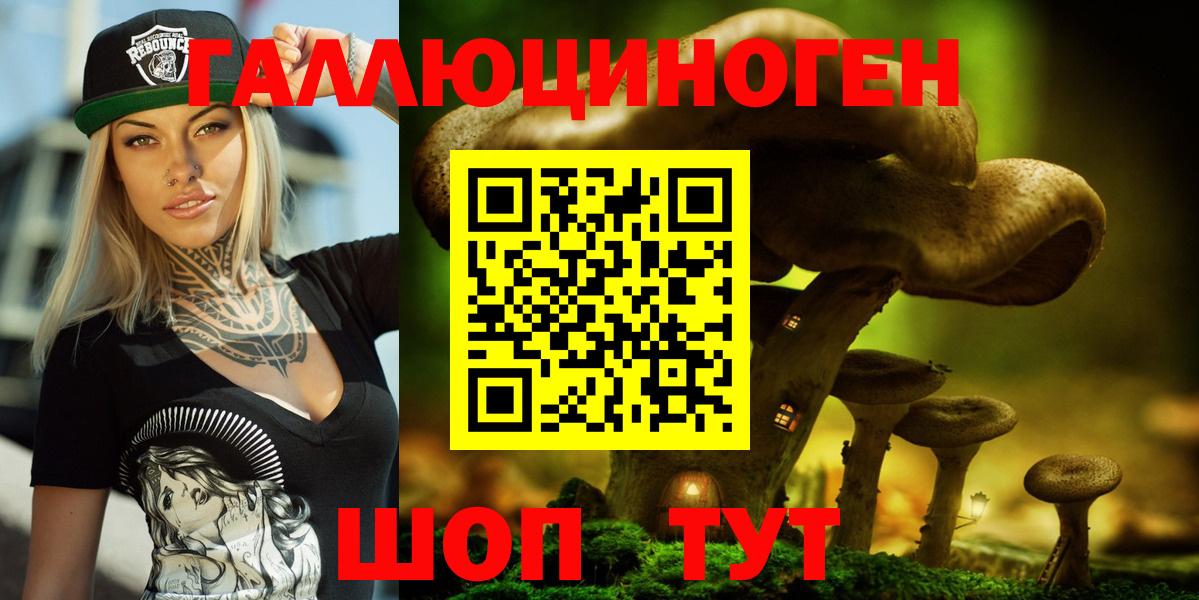 Псилоцибиновые грибы GOLDEN TEACHER Черняховск