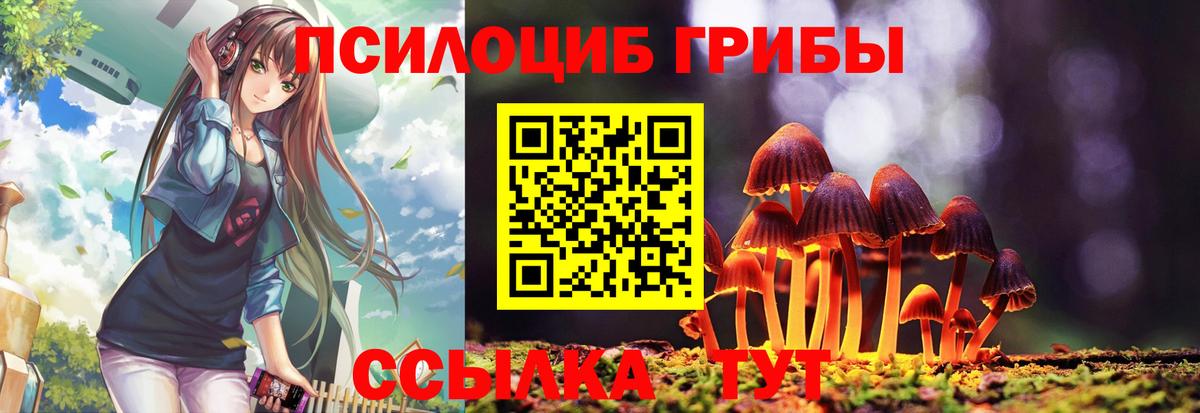 Псилоцибиновые грибы Cubensis  Вход с VPN  Черняховск 
